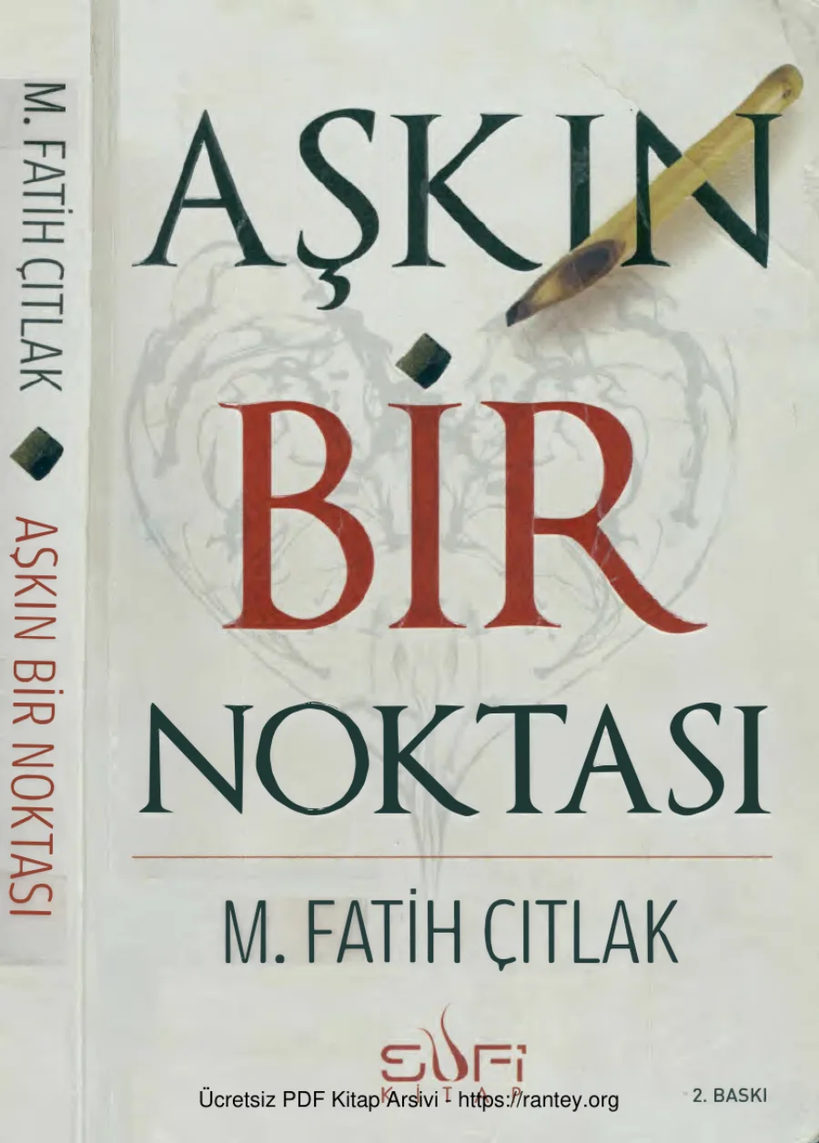 Aşkın Bir Noktası kapak görseli