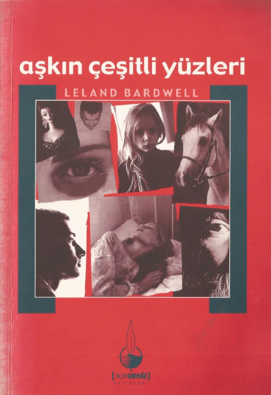 Aşkın Çeşitli Yüzleri Açıkdeniz Yayınları kapak görseli