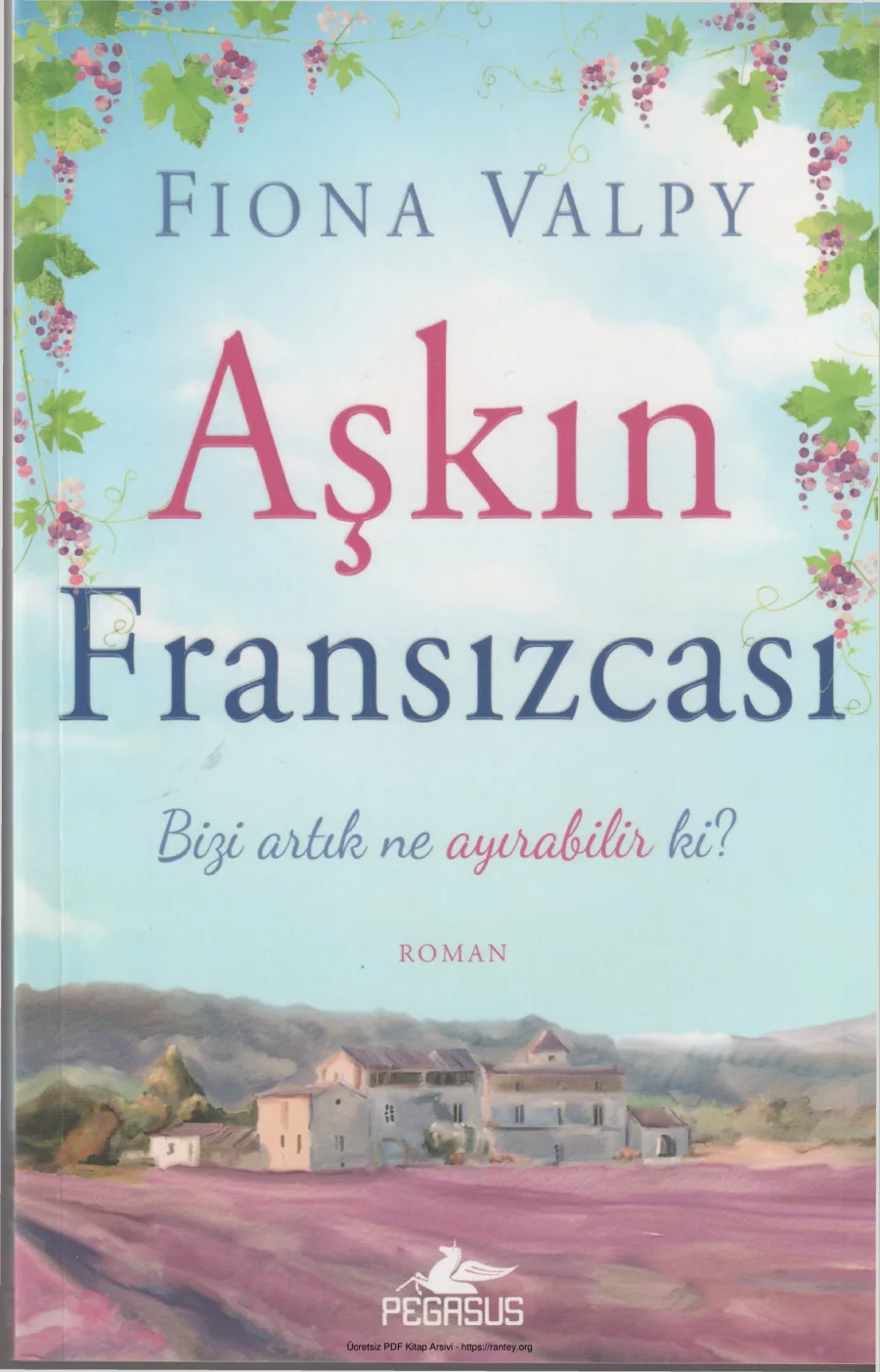 Aşkın Fransızcası kapak görseli