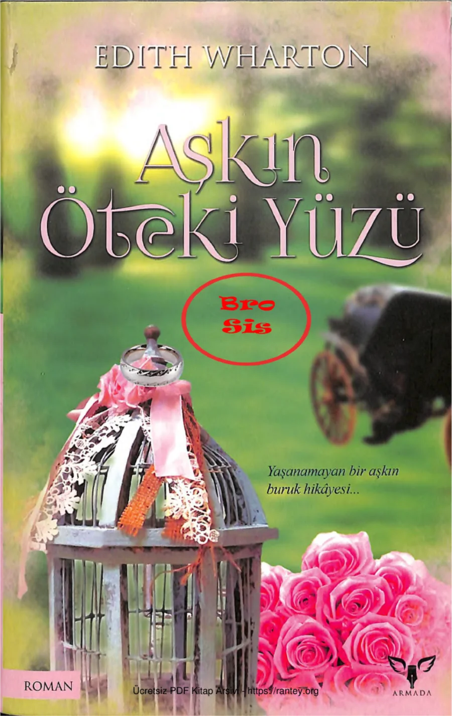 Aşkın Öteki Yüzü kapak görseli