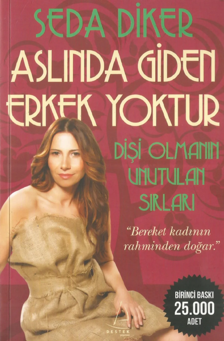 Aslında Giden Erkek Yoktur kapak görseli