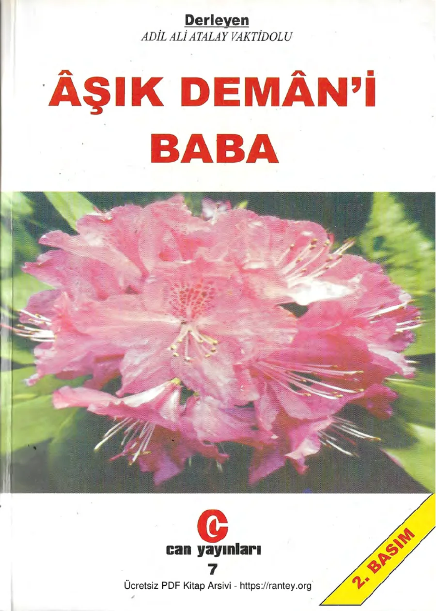Atalay Vaktidolu şık Demni Baba kapak görseli