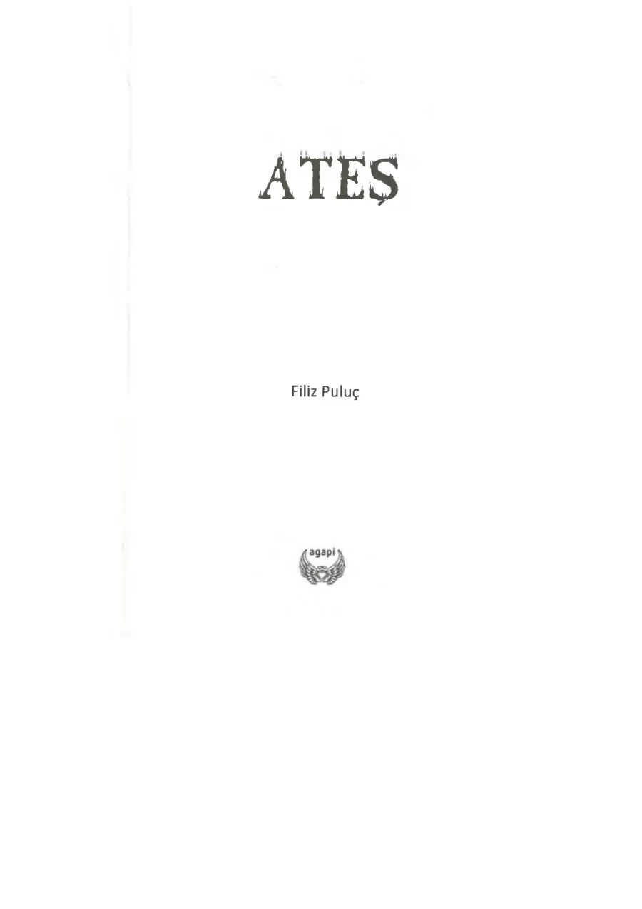 Ateş 1: Yanmak kapak görseli
