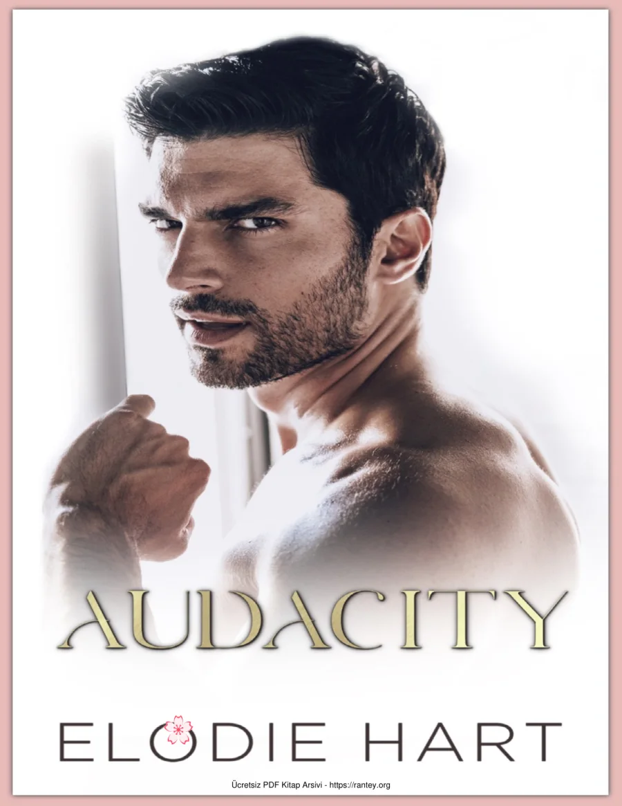 Audacity kapak görseli