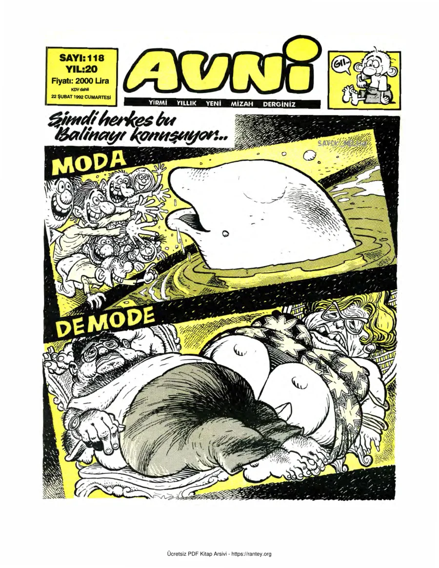 Avni Sayı 118 kapak görseli