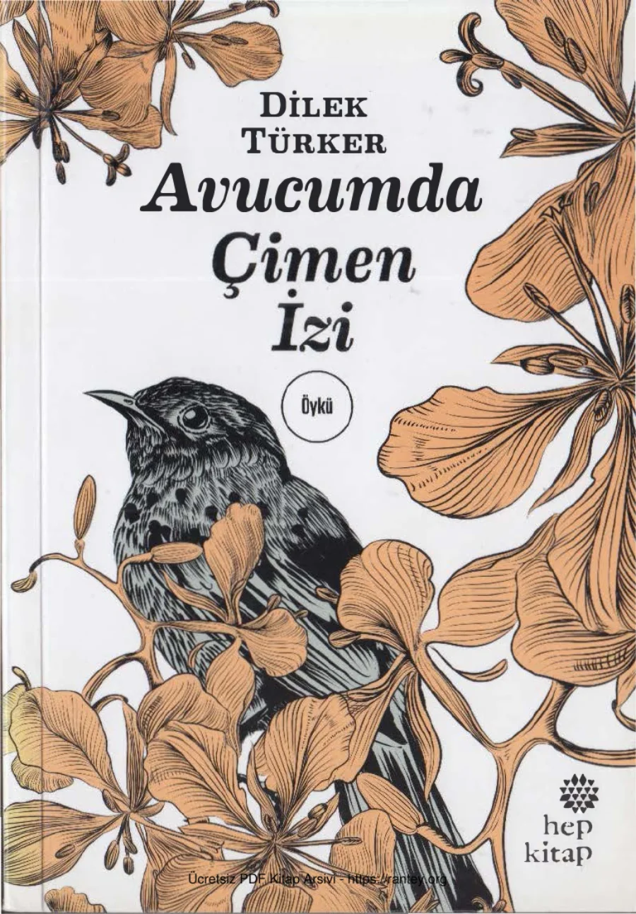 Avucumda Çimen İzi Hay Kitap kapak görseli