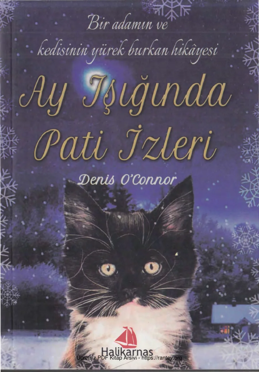 Ay Işığında Pati İzleri kapak görseli