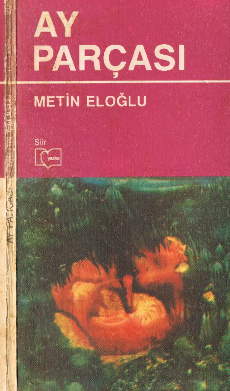 Ay Parçası kitap kapağı