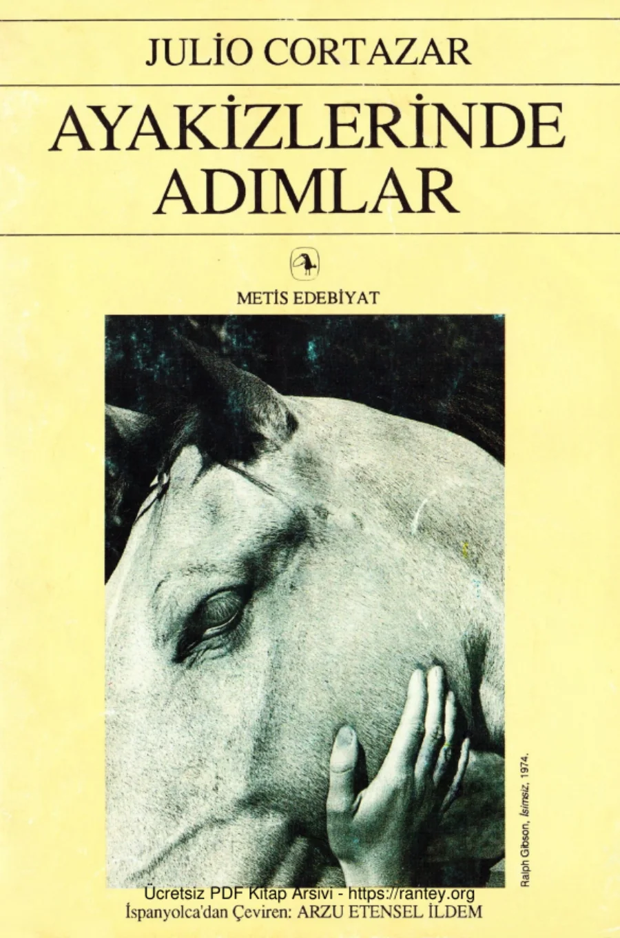 Ayakizlerinde Adımlar kapak görseli
