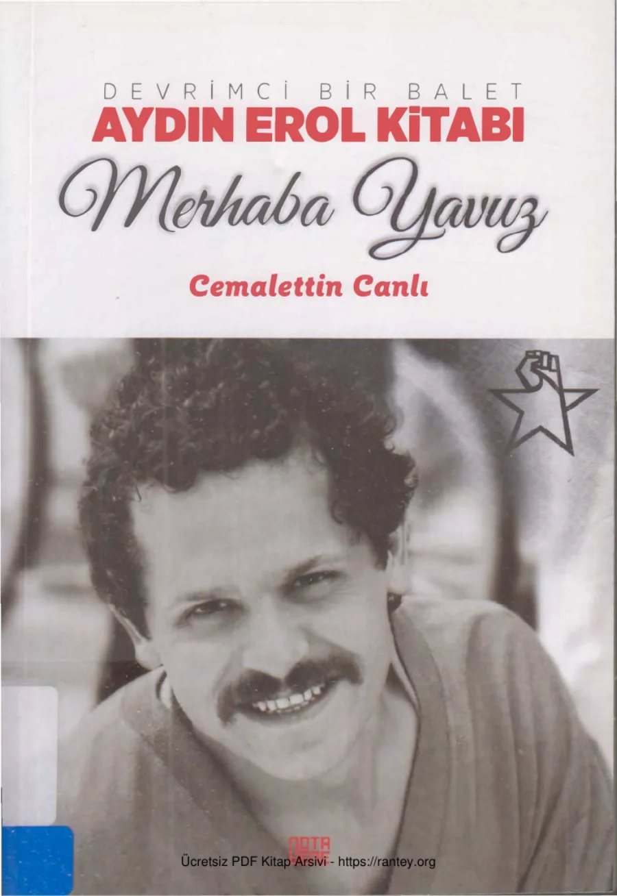 Aydın Erol Kitabı Merhaba Yavuz kapak görseli