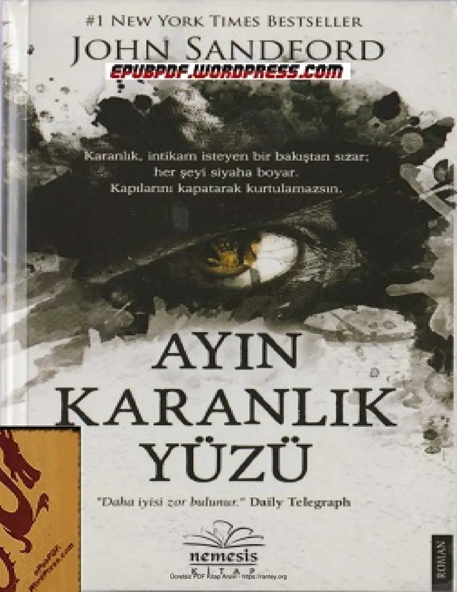 Ayın Karanlık Yüzü kapak görseli