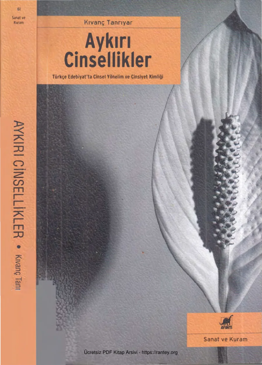 Aykırı Cinsellikler kapak görseli