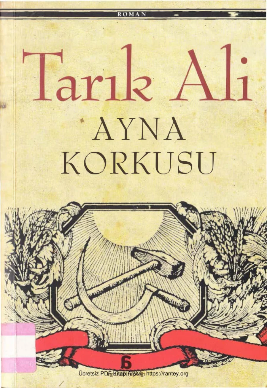 Ayna Korkusu kapak görseli