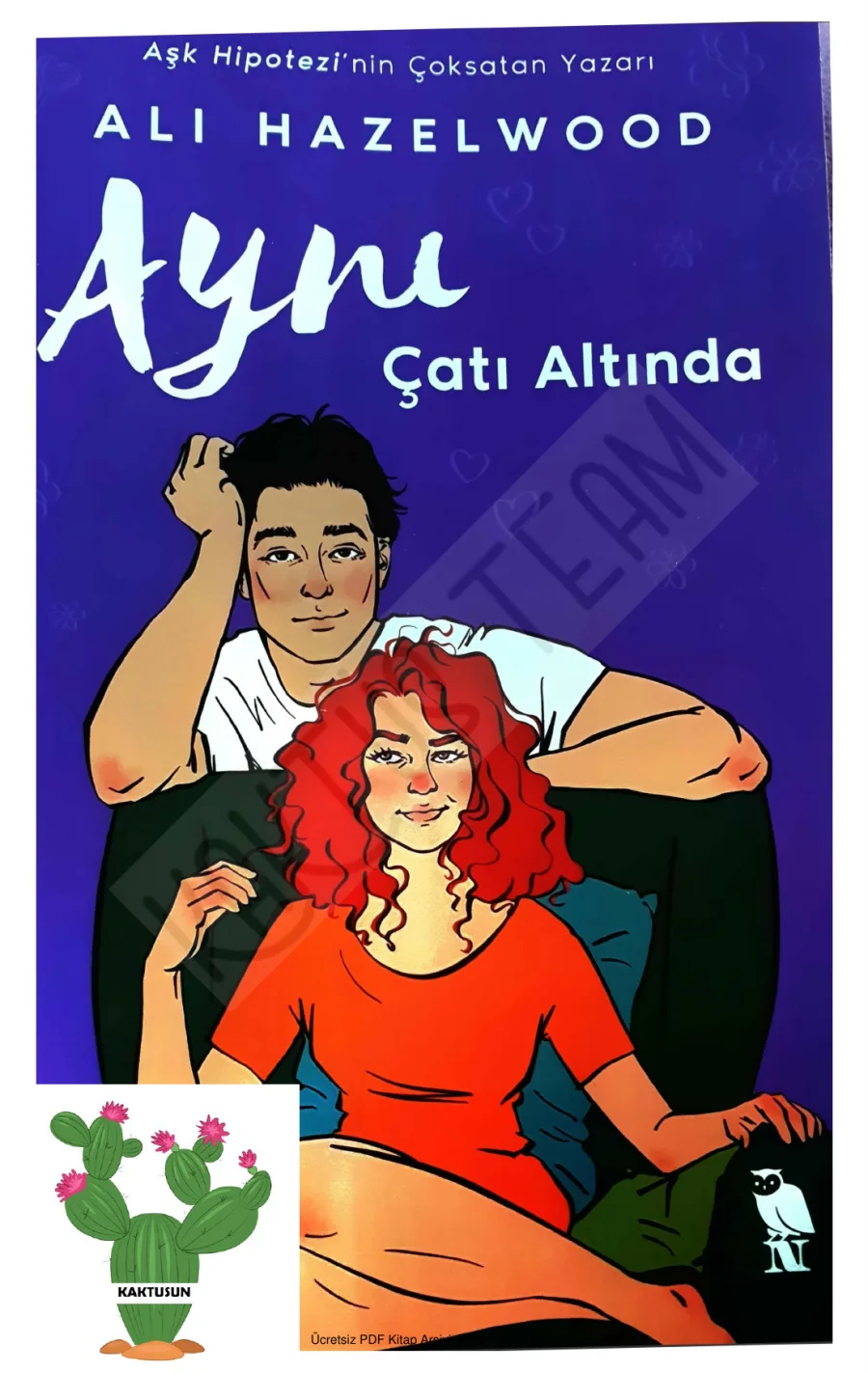 Aynı Çatı Altında kapak görseli