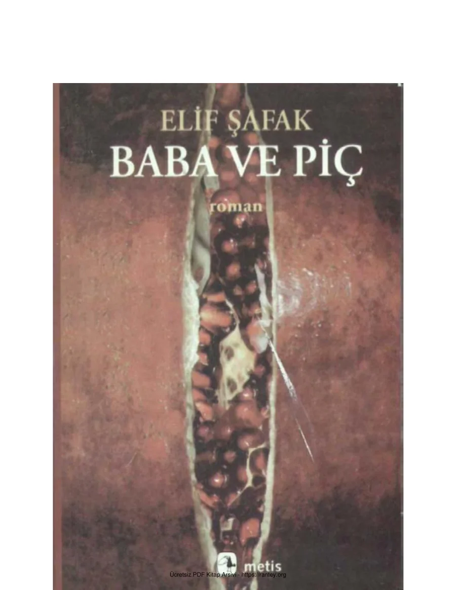 BabavePiç ElifŞafak kapak görseli
