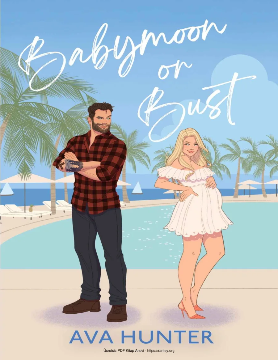 Babymoon or Bust kapak görseli