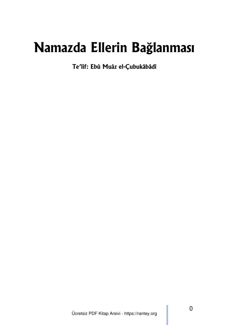 Baglama kapak görseli