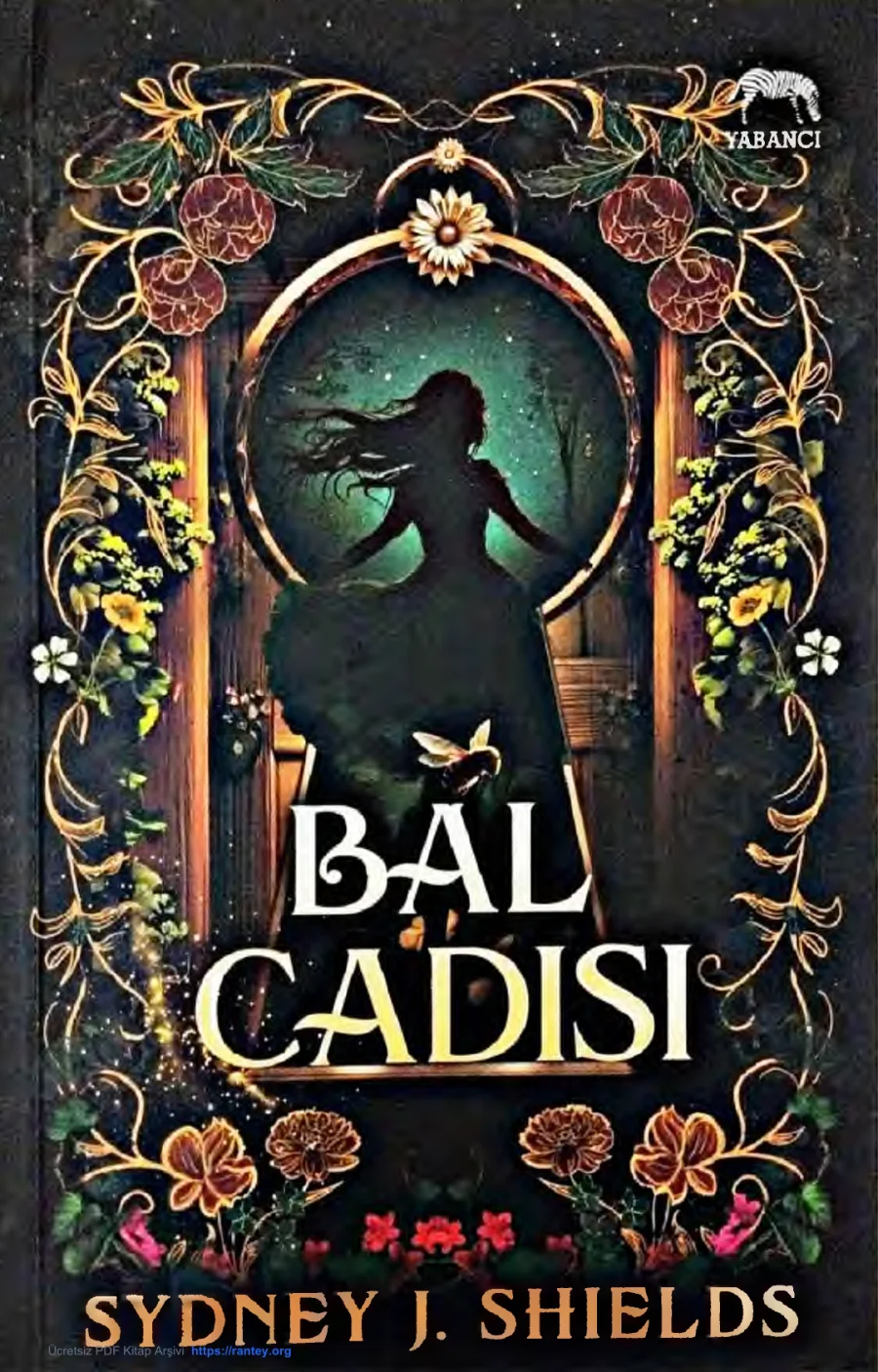 Bal Cadısı kapak görseli
