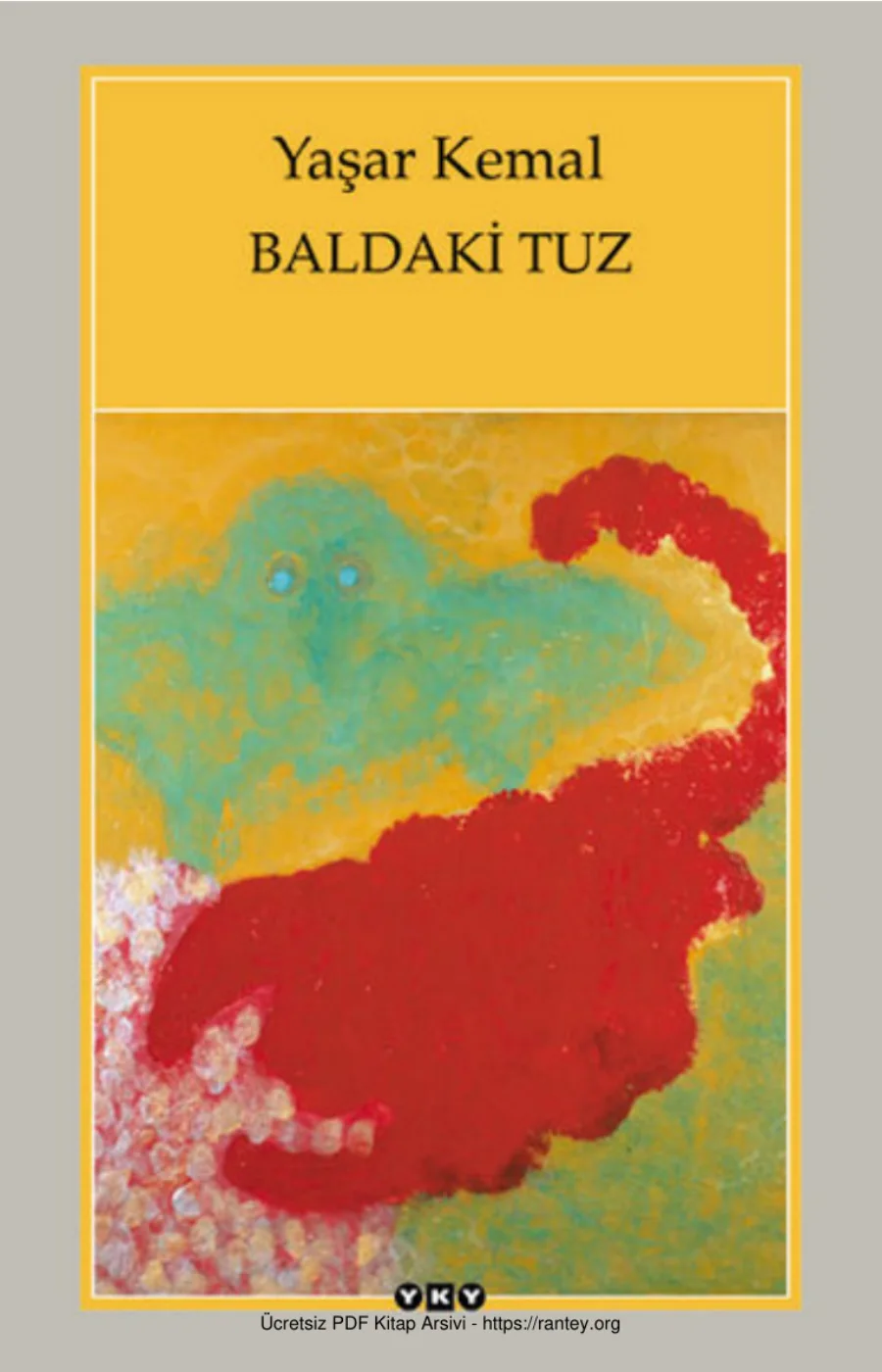 Baldaki Tuz kapak görseli