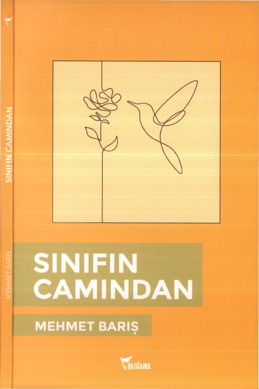 Barış Sınıfın Camından kapak görseli
