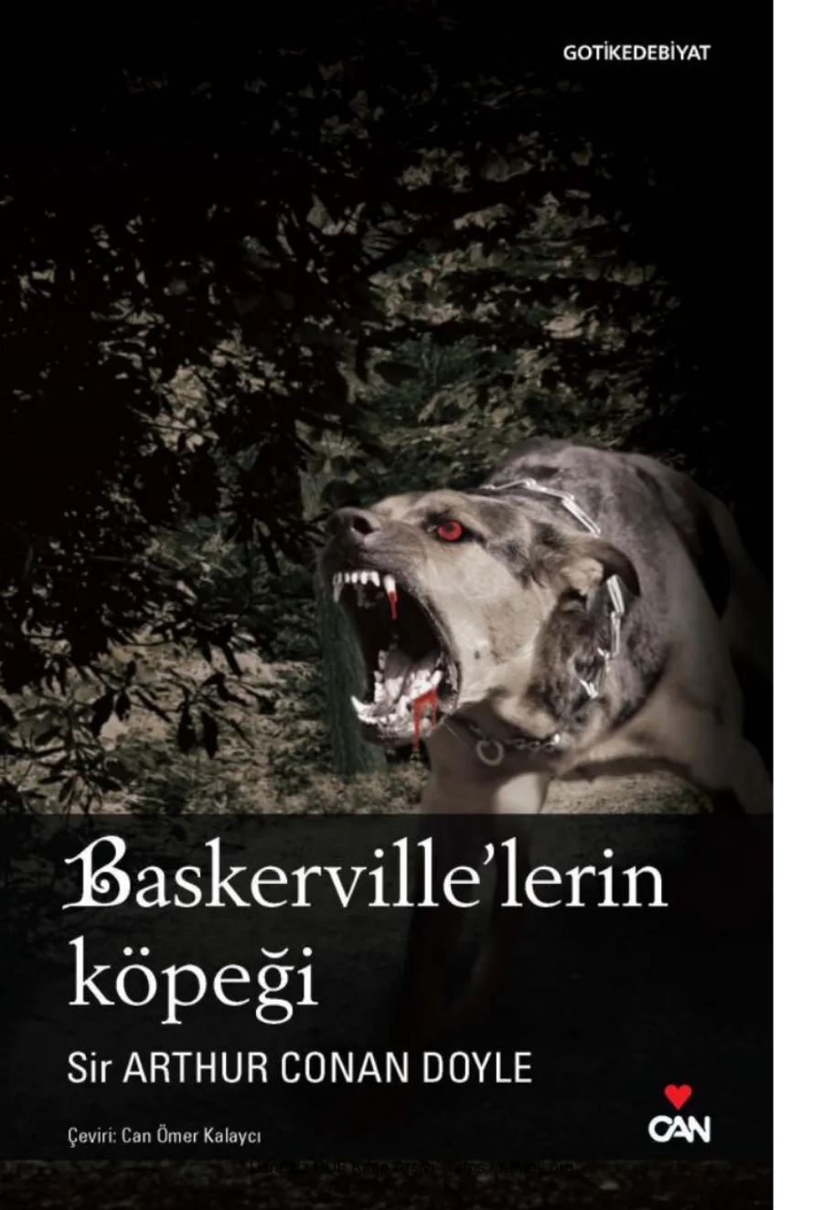 Baskervillelerin Köpeği kapak görseli