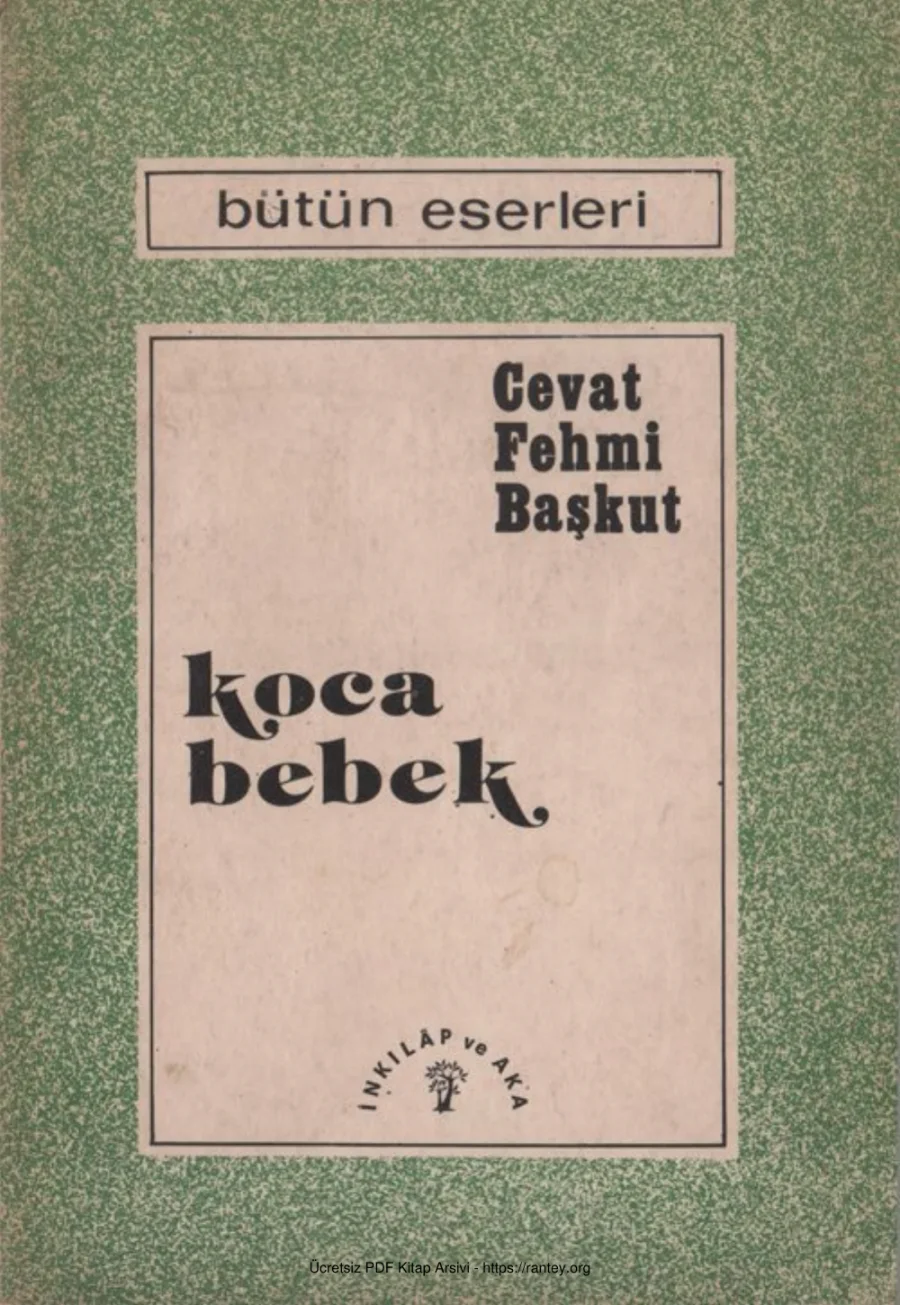 Başkut Koca Bebek İnkılap ve Aka Yayınları kapak görseli