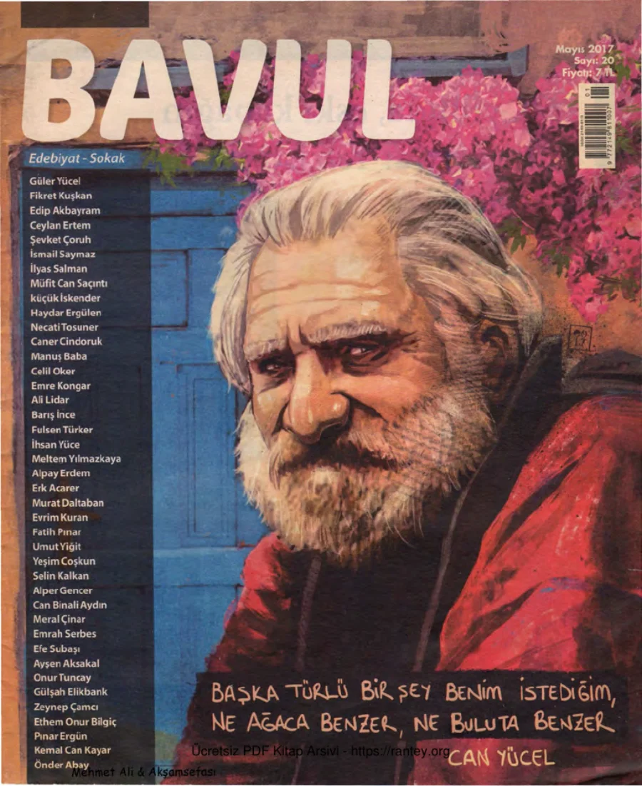 Bavul Sayı 020 kapak görseli