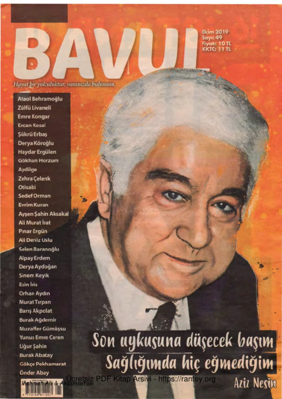Bavul Sayı 049 kapak görseli