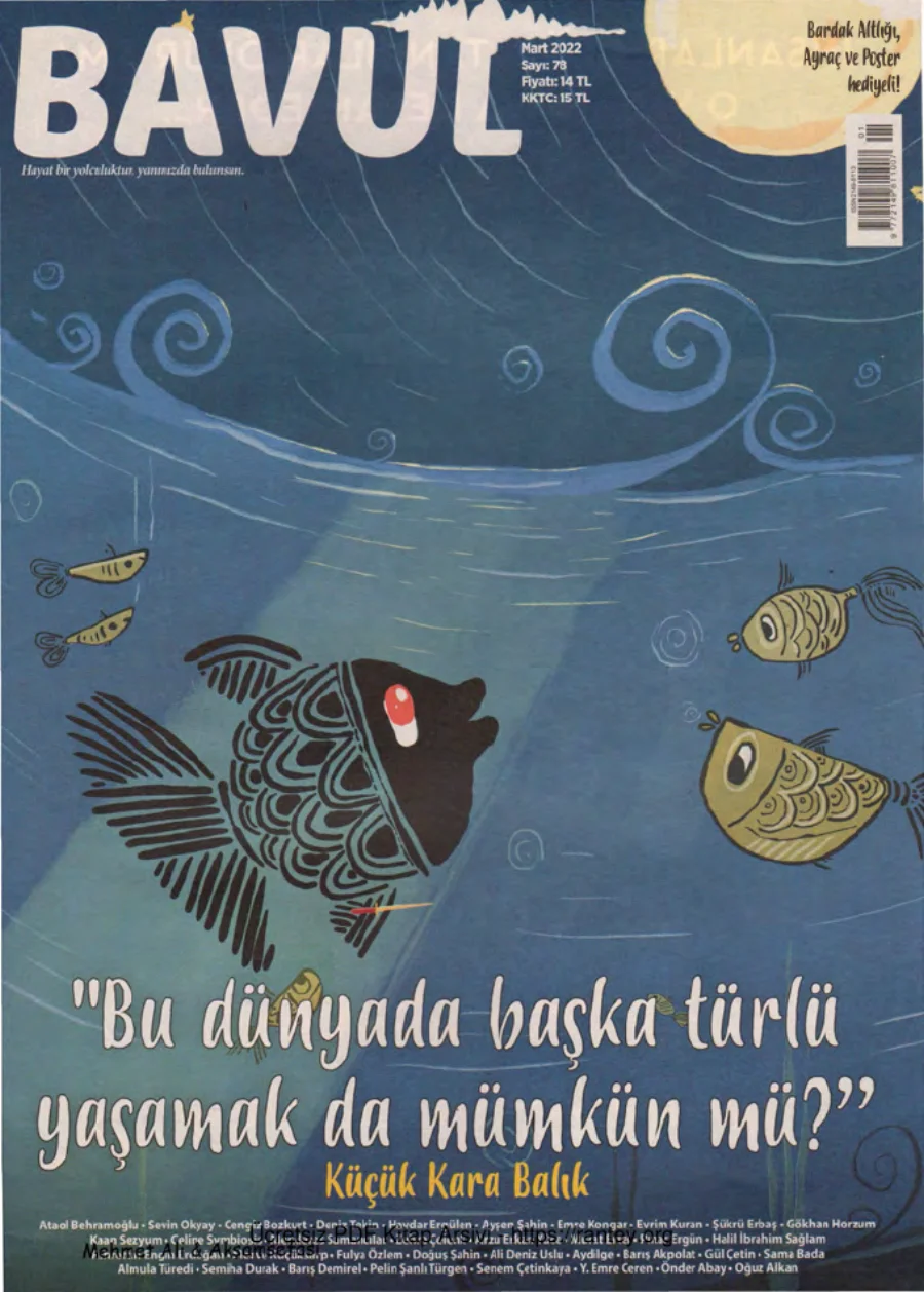 Bavul Sayı 078 kapak görseli