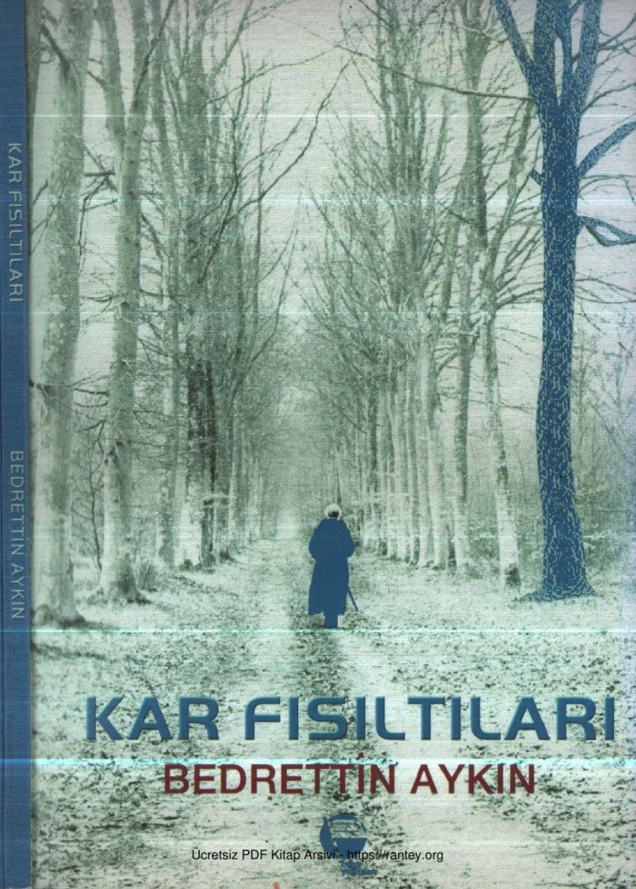 Bedrettin Aykın Kar Fısıltıları kapak görseli