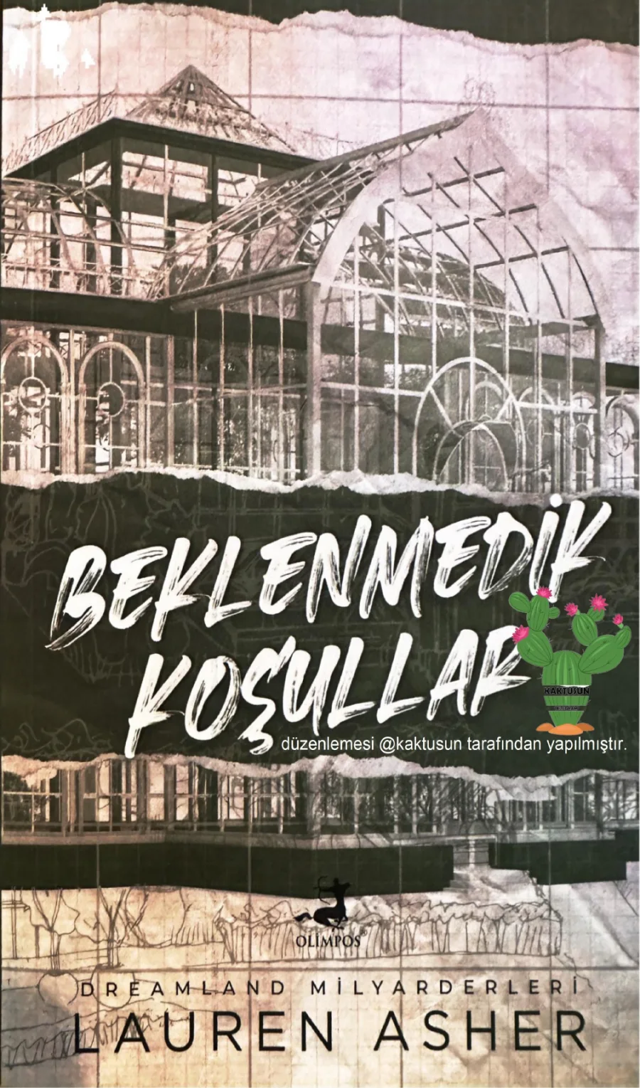 Beklenmedik Koşullar kapak görseli