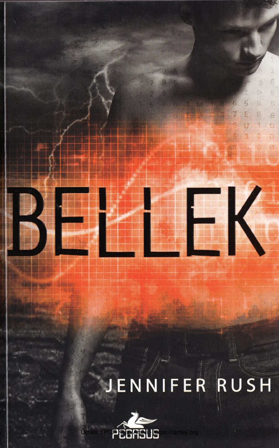 Bellek kapak görseli