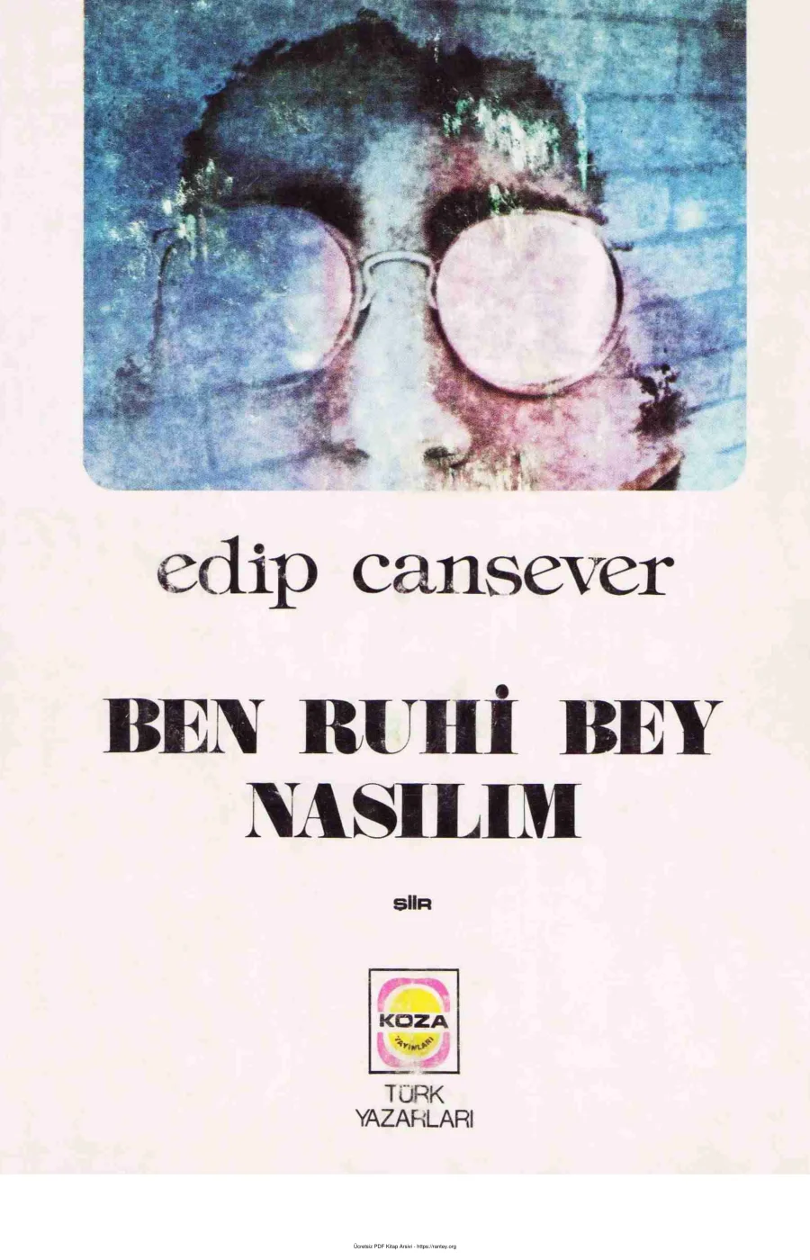Ben Ruhi Bey Nasılım kapak görseli