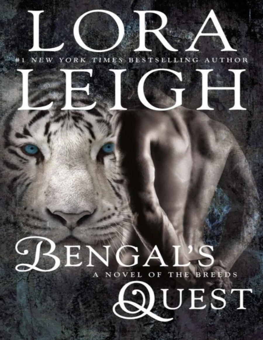 Bengals Quest kapak görseli