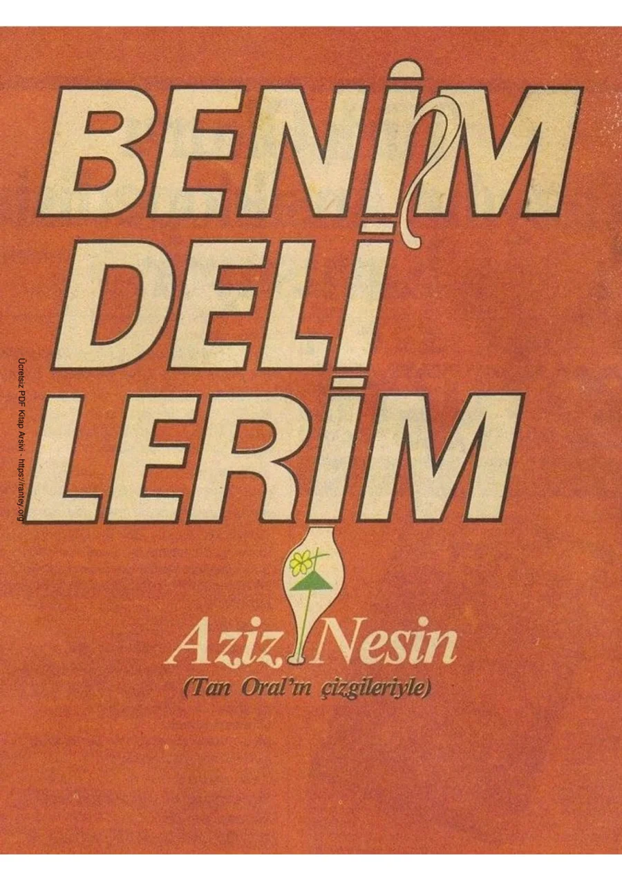 Benim Delilerim kapak görseli