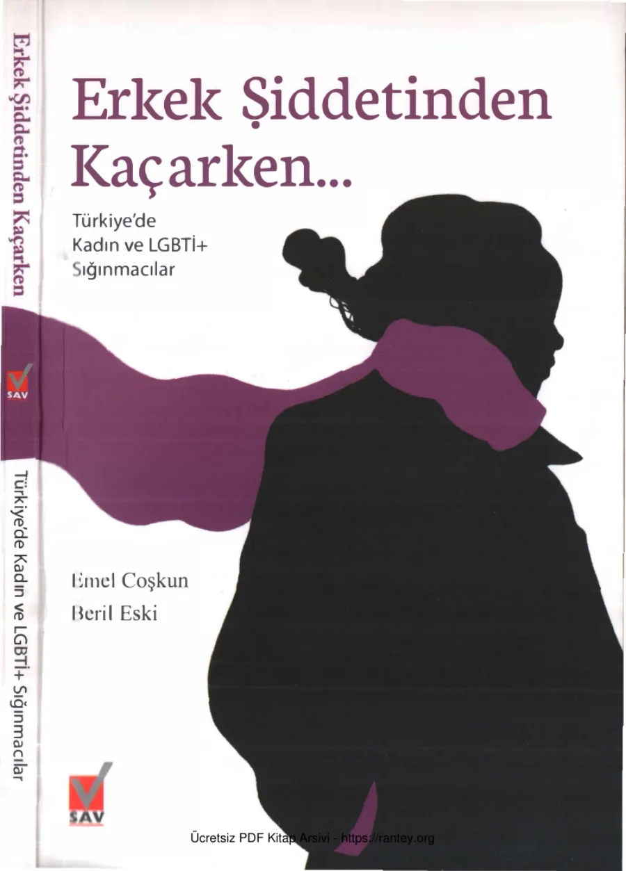 Beril Eski Erkek Şiddetinden Kaçarken kapak görseli