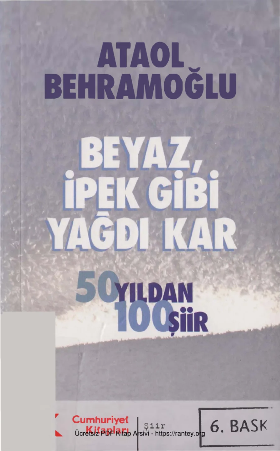 Beyaz İpek Gibi Yağdı Kar kapak görseli