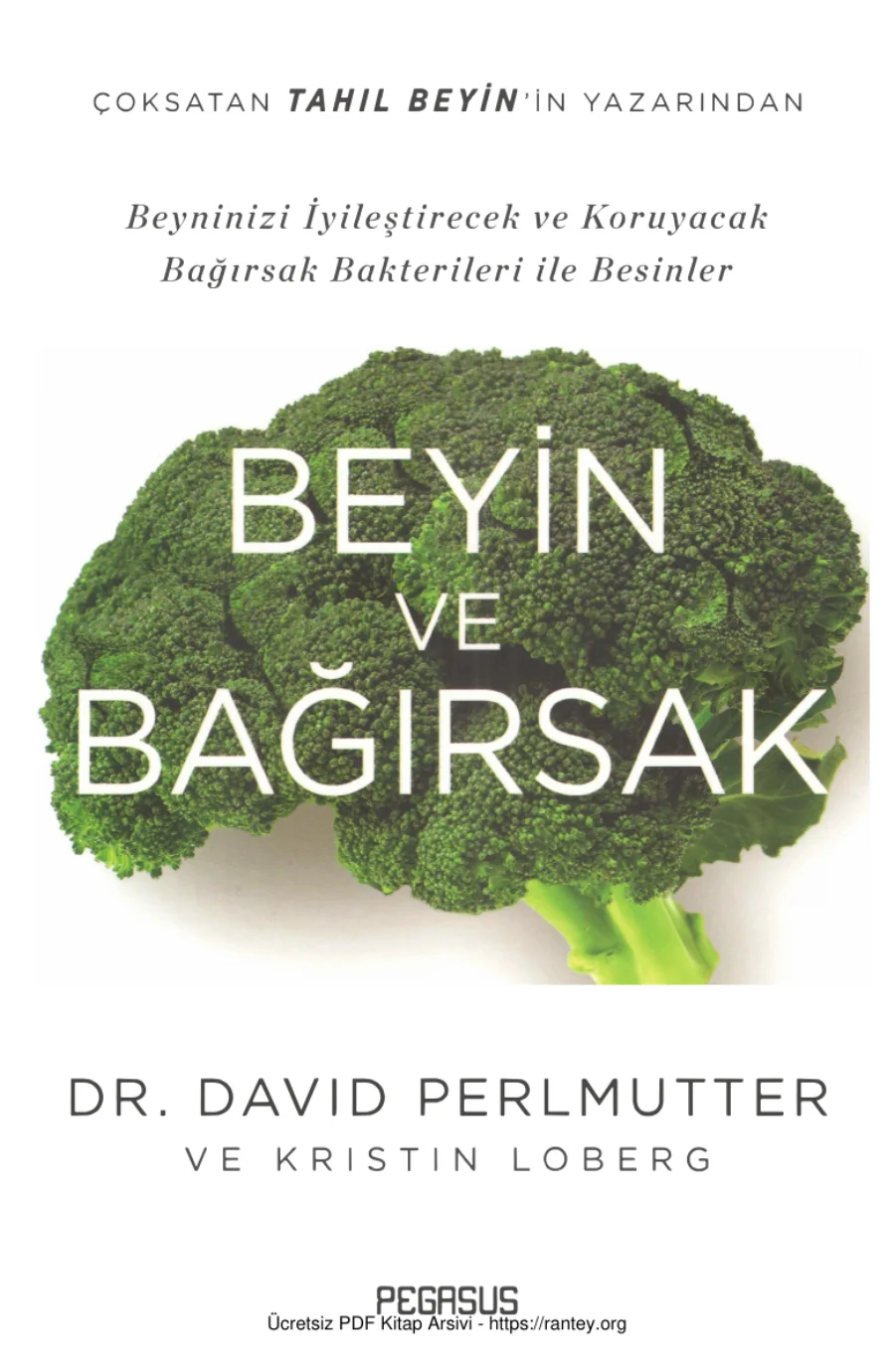 Beyin ve Bağırsak kapak görseli
