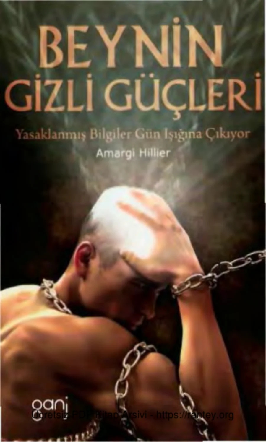 Beynin Gizli Güçleri Safir Yayınları kapak görseli
