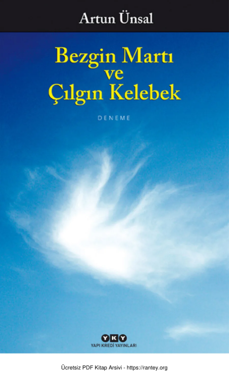 Bezgin Martı ve Çılgın Kelebek kapak görseli