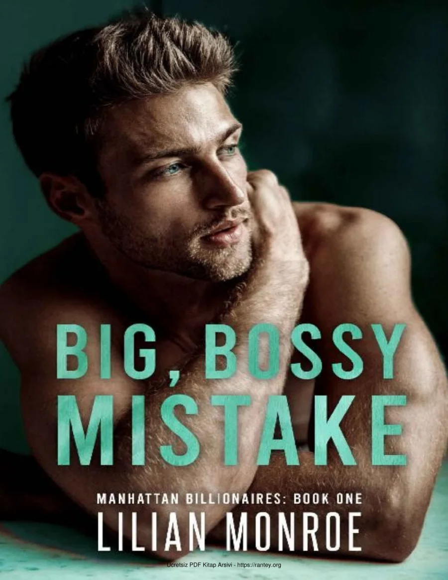 Big Bossy Mistake kapak görseli