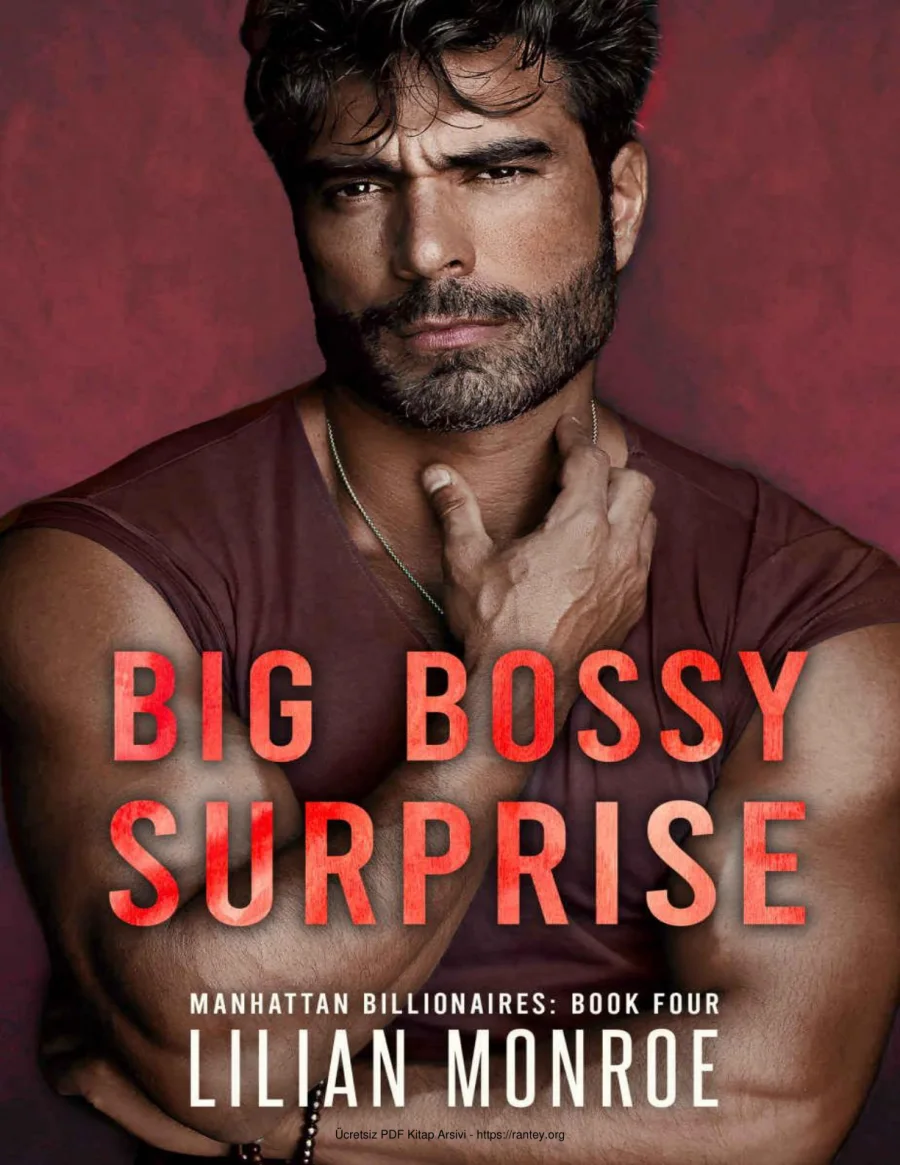 Big Bossy Surprise kapak görseli