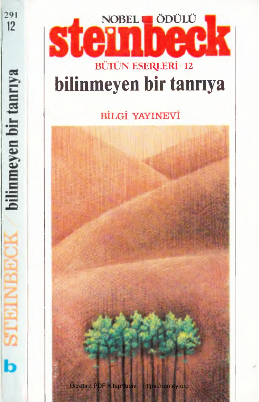 Bilinmeyen Bir Tanrıya Bilgi Yayınevi kapak görseli