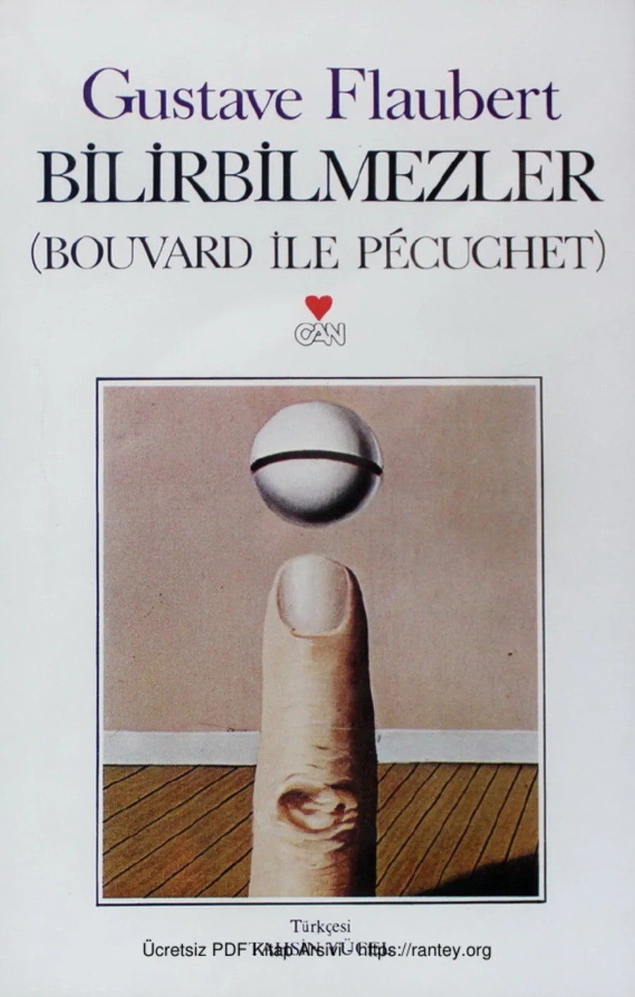 Bilirbilmezler Bouvard ile Pecuchet kapak görseli