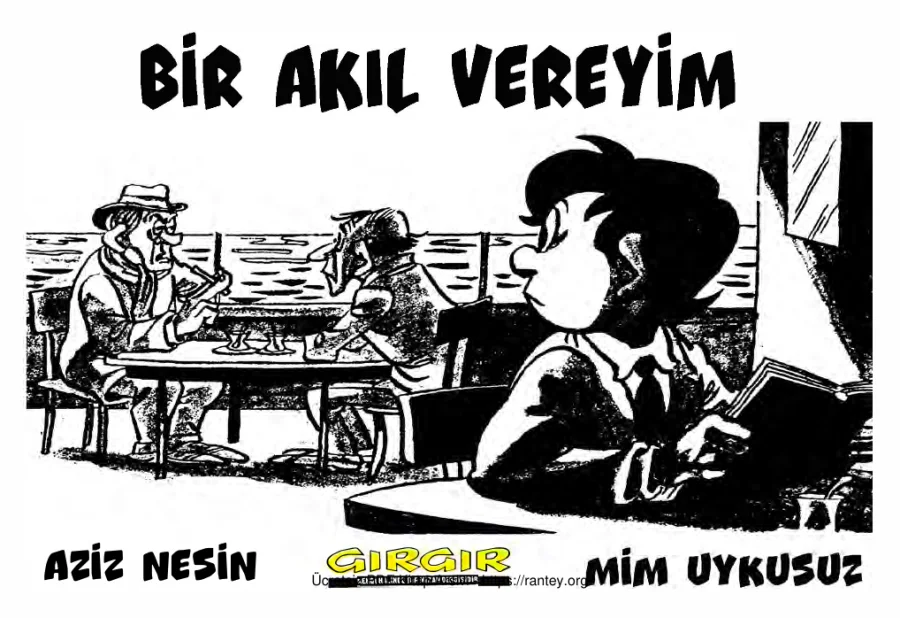 Bir Akıl Vereyim kapak görseli