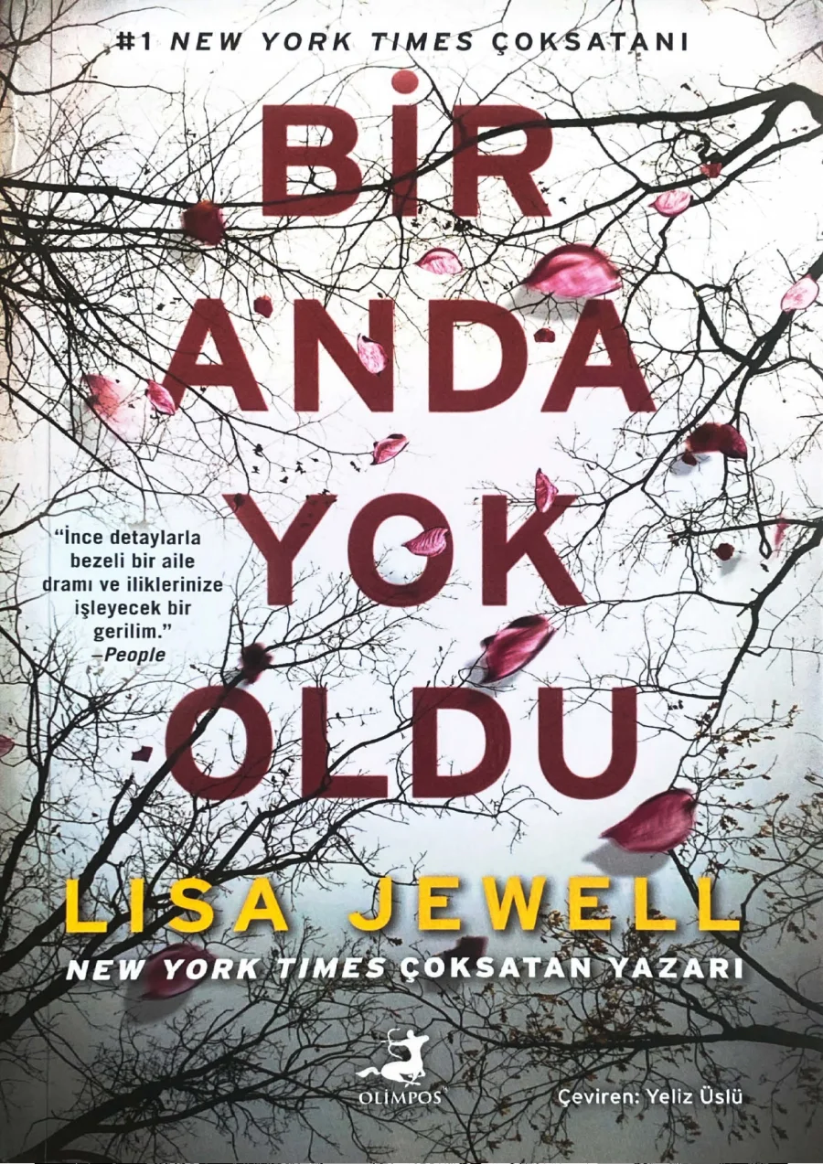 Bir Anda Yok Oldu kapak görseli