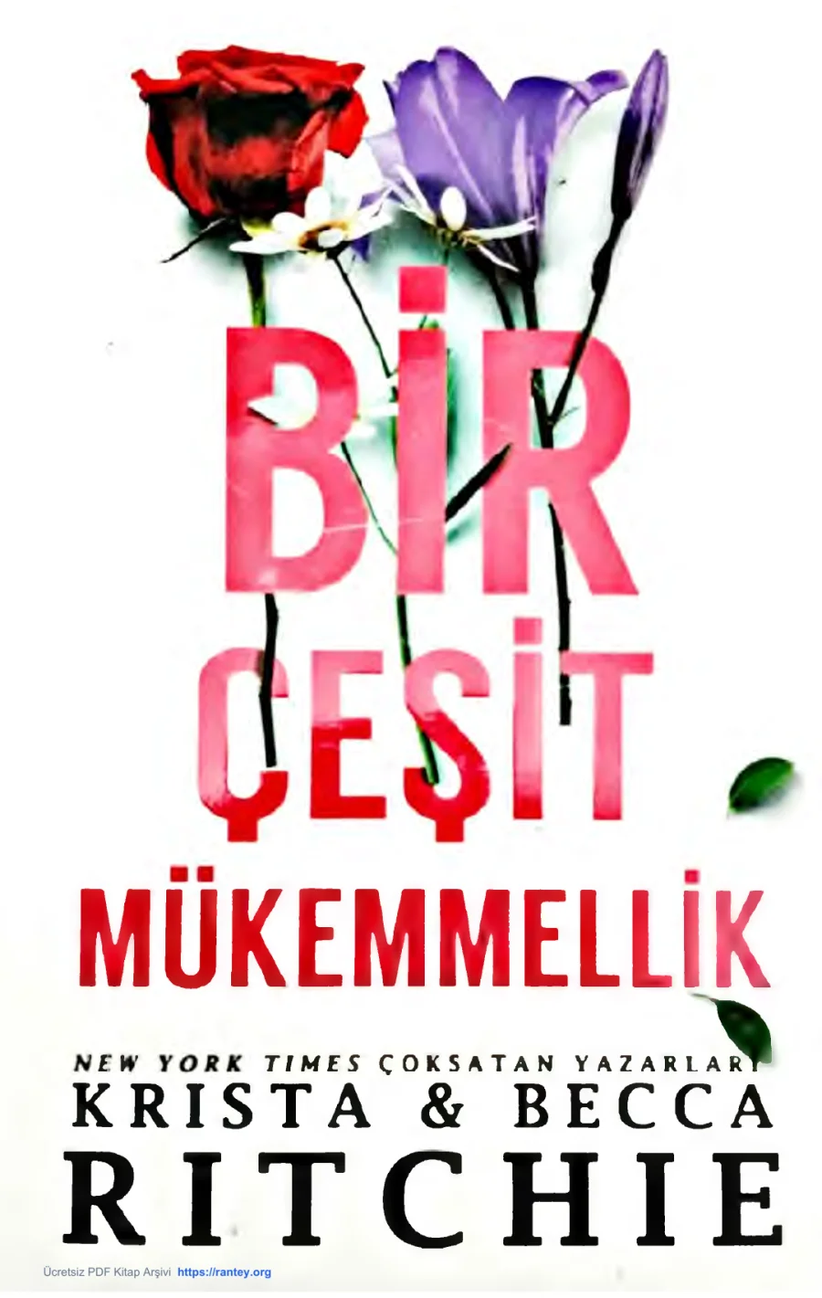 Bir Çeşit Mükemmellik kapak görseli