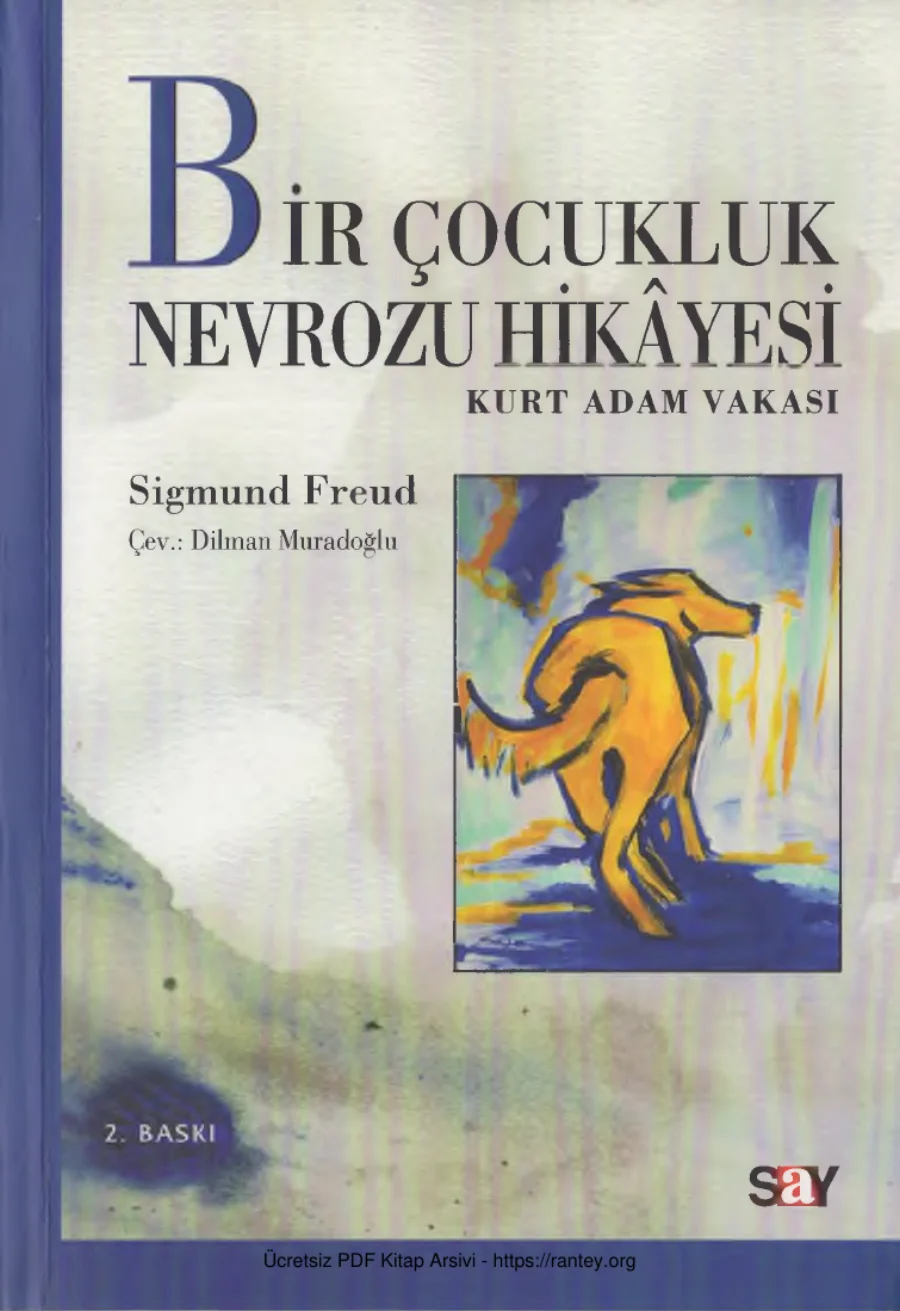 Bir Çocukluk Nevrozu Hikayesi kapak görseli