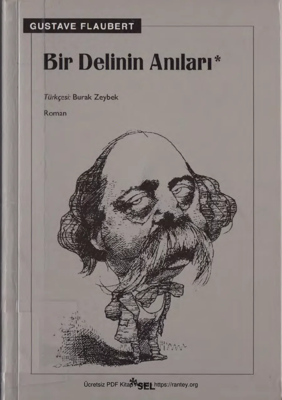 Bir Delinin Anıları kapak görseli