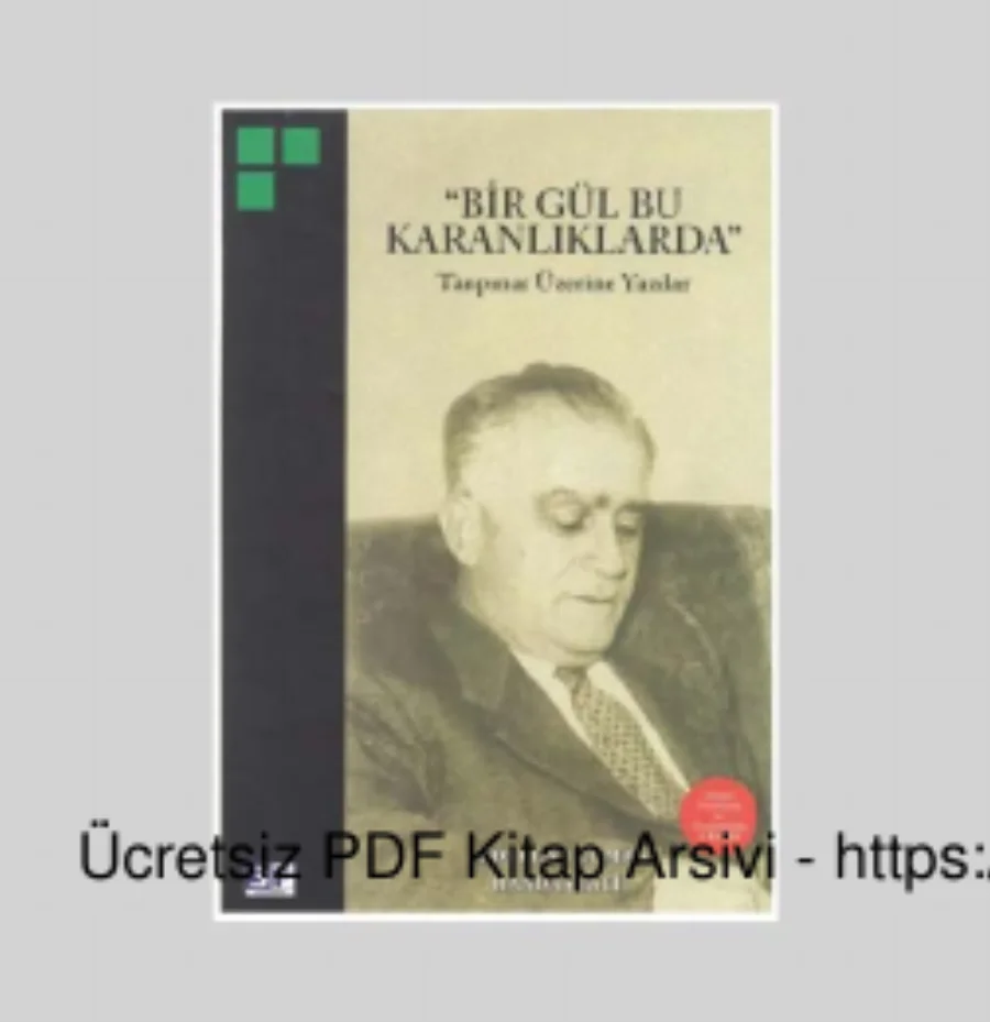 Bir Gül Bu Karanlıklarda: Tanpınar Üzerine Yazılar kapak görseli